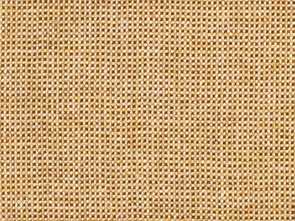 100 % Cashmere ( NEW 2024  )