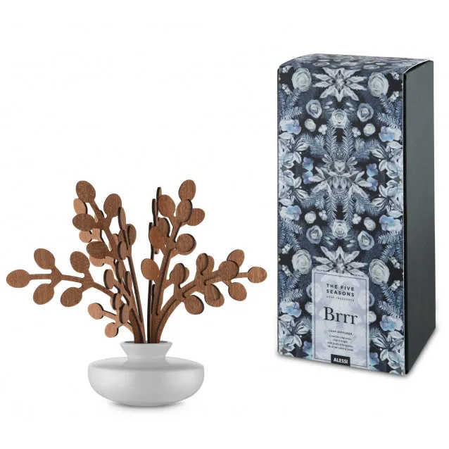 5 SEASONS LEAF FRAGRANCE DIFFUSER 1