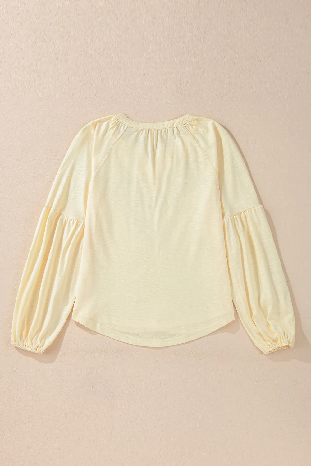 Apricot Paisley Floral Embroidered Notch V Neck Blouse