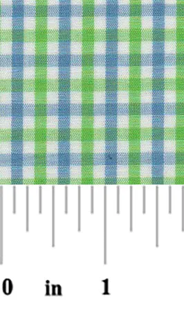 Blue and Green Check