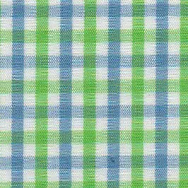 Blue and Green Check