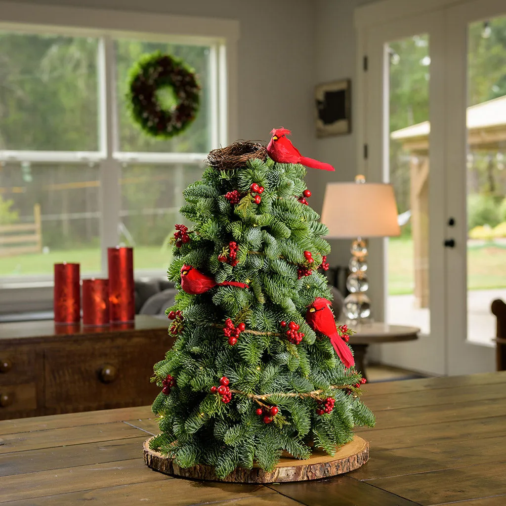 Cardinal Christmas