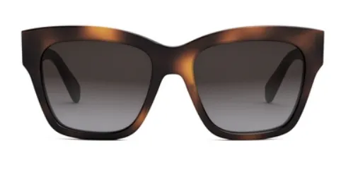CELINE Triomphe CL40253I