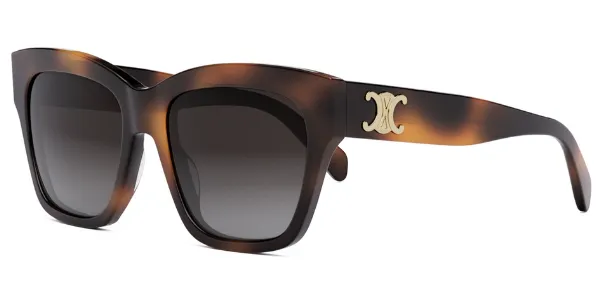 CELINE Triomphe CL40253I