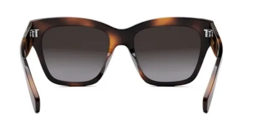 CELINE Triomphe CL40253I