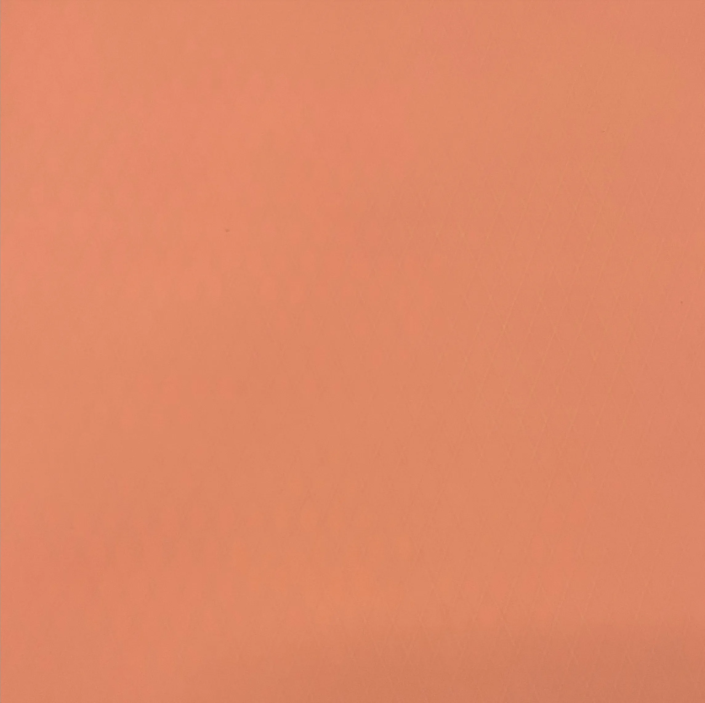 RX30 X-Pac® Recycled Polyester Fabric using REPREVE® (Sold per Yard)