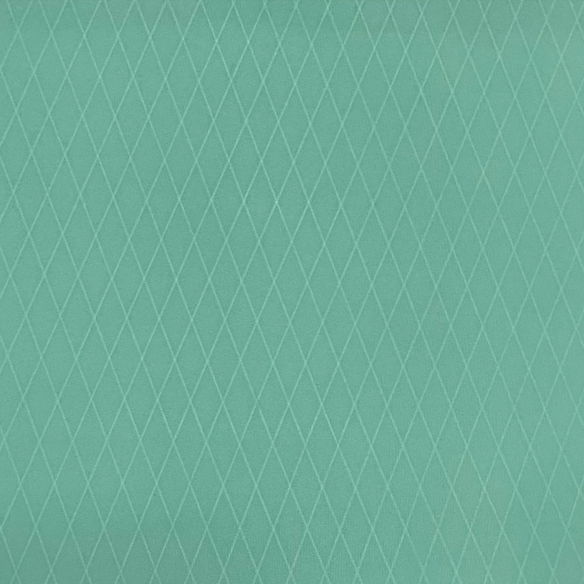 RX30 X-Pac® Recycled Polyester Fabric using REPREVE® (Sold per Yard)